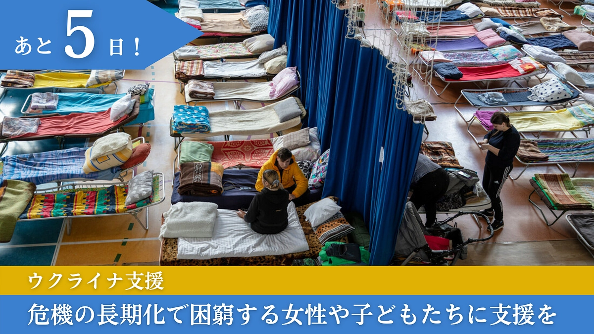 【あと５日！】応援コメントのご紹介