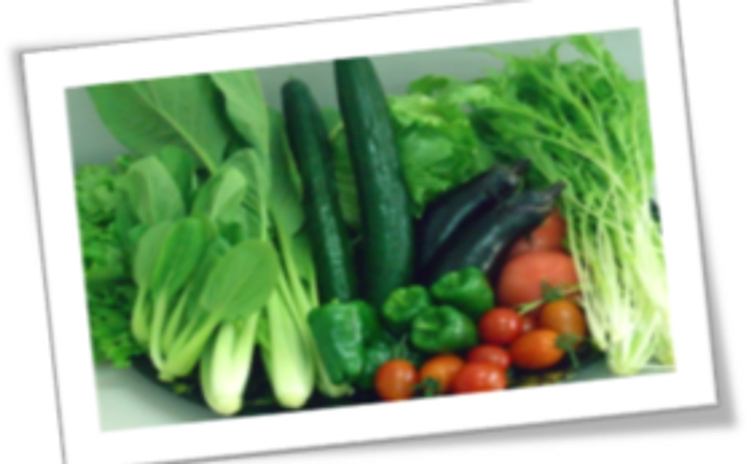 オリジナルポストカードによる御礼レター