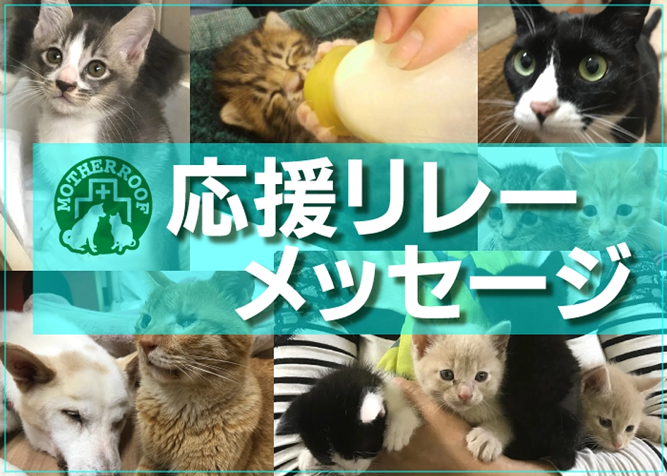 応援リレーメッセージ　ボランティアさん編②