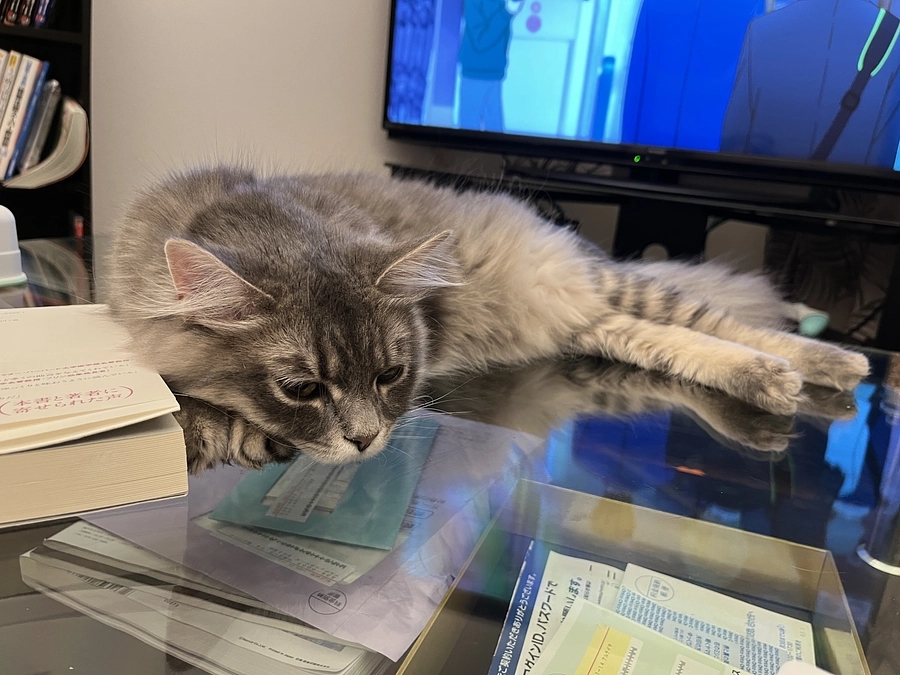 投薬39日目　1クール目　治療費明細