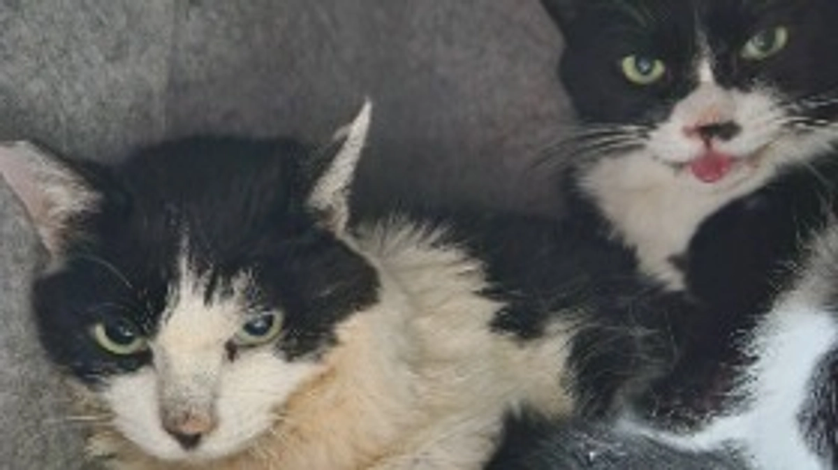 今日もお薬頑張りました💪