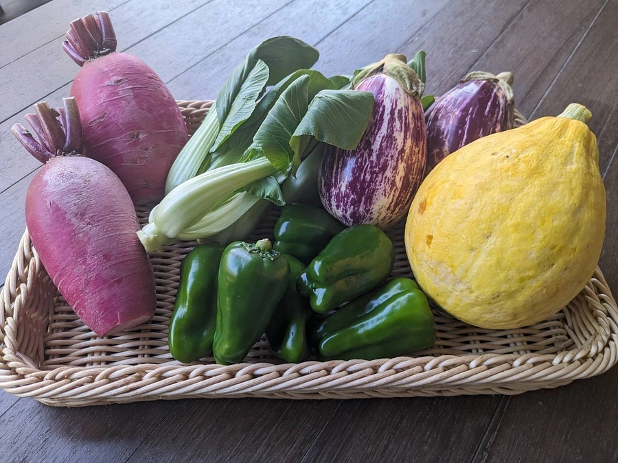 リターン追加のお知らせ！