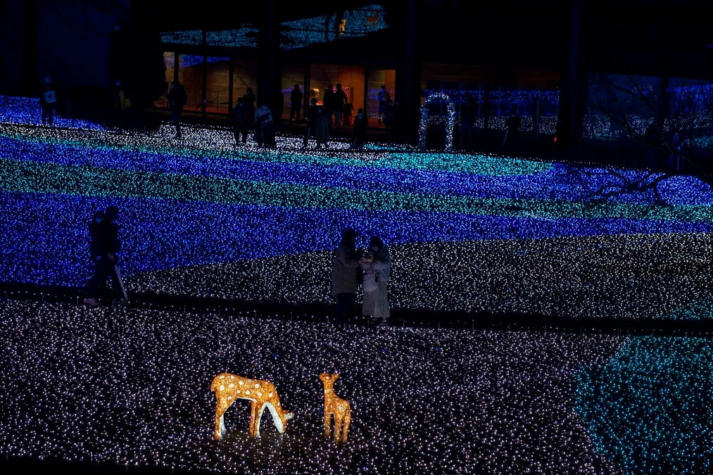 残り期間2週間です。