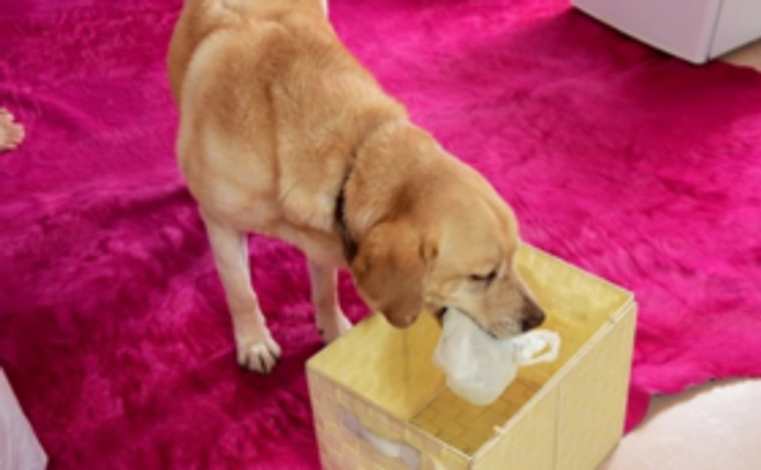 【みなさんの応援が集まって大きな力になります！】