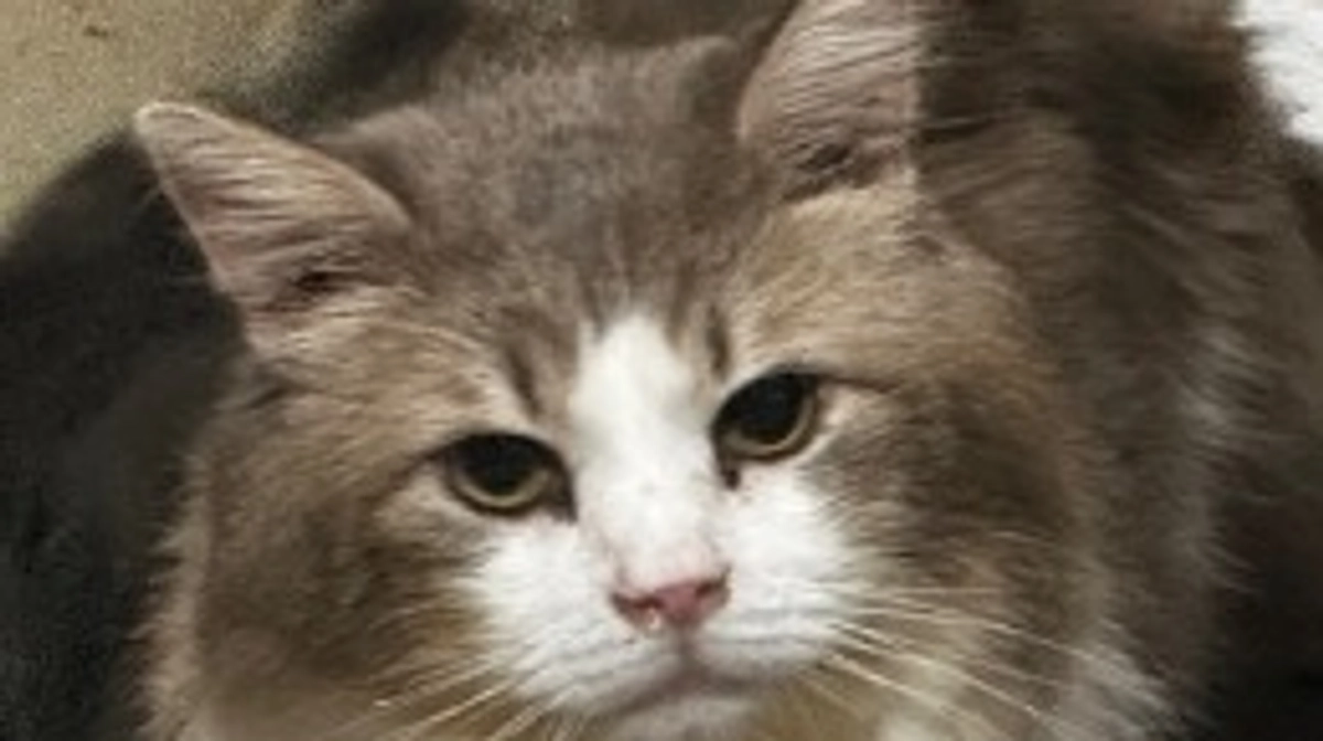 達成させて戴きました！