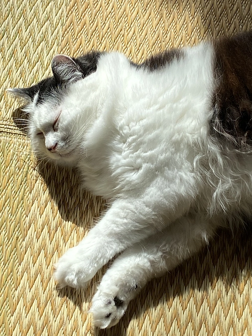 【21日目】「啓発」の難しさ。地道な活動の先にある未来