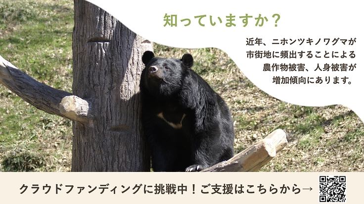 盛岡市動物公園｜ツキノワグマと人がよりよく共生できる社会を目指して 2枚目