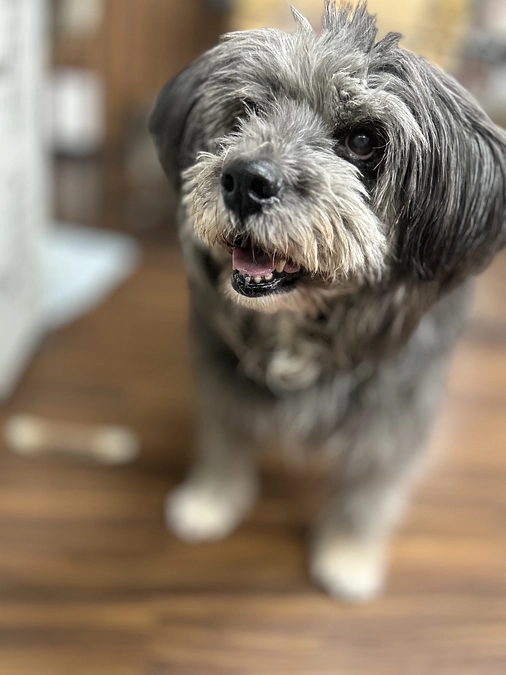 看取りボランティア21号　「ポレポレ」