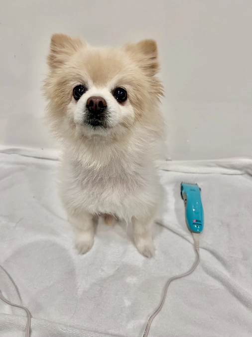 30/59 ☆ バリカンタイム