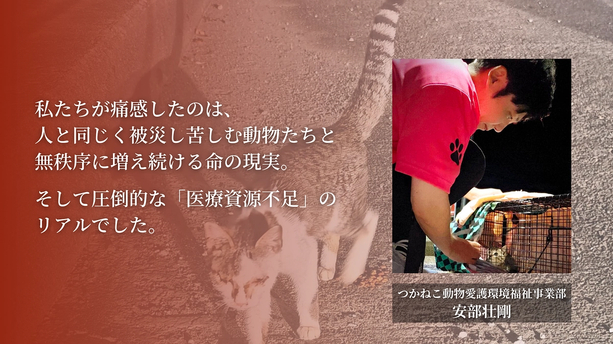 被災し苦しむ人と動物たち、無秩序に増え続ける命の現実｜つかねこ代表 安部