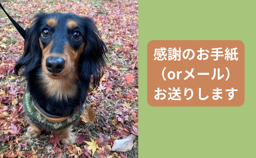 感謝のお手紙（住所をお知らせ頂くことに抵抗がある方はメールで御礼させて頂きます）