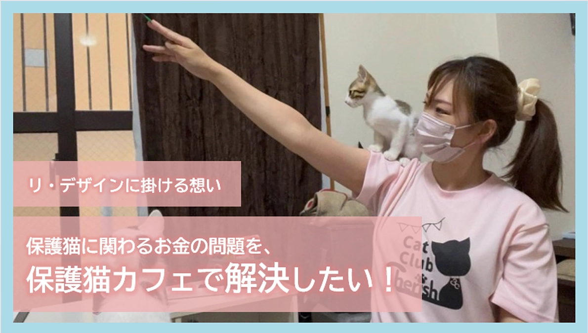 リ・デザインに掛ける想い｜保護猫に関わるお金の問題を、保護猫カフェで解決したい！