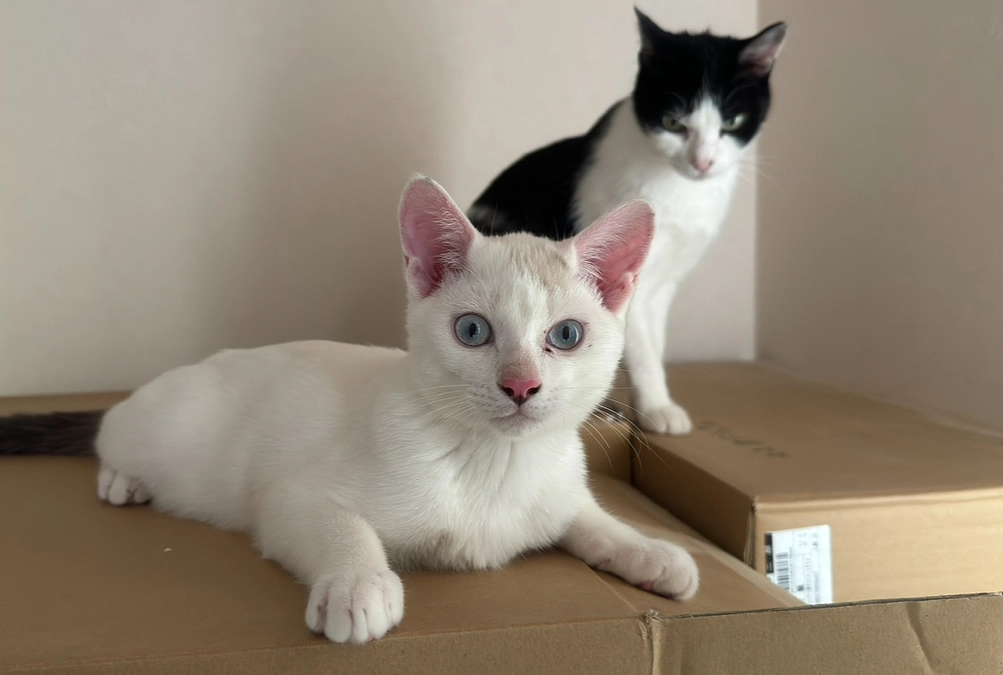 おひとりおひとりの温かいご支援に感謝