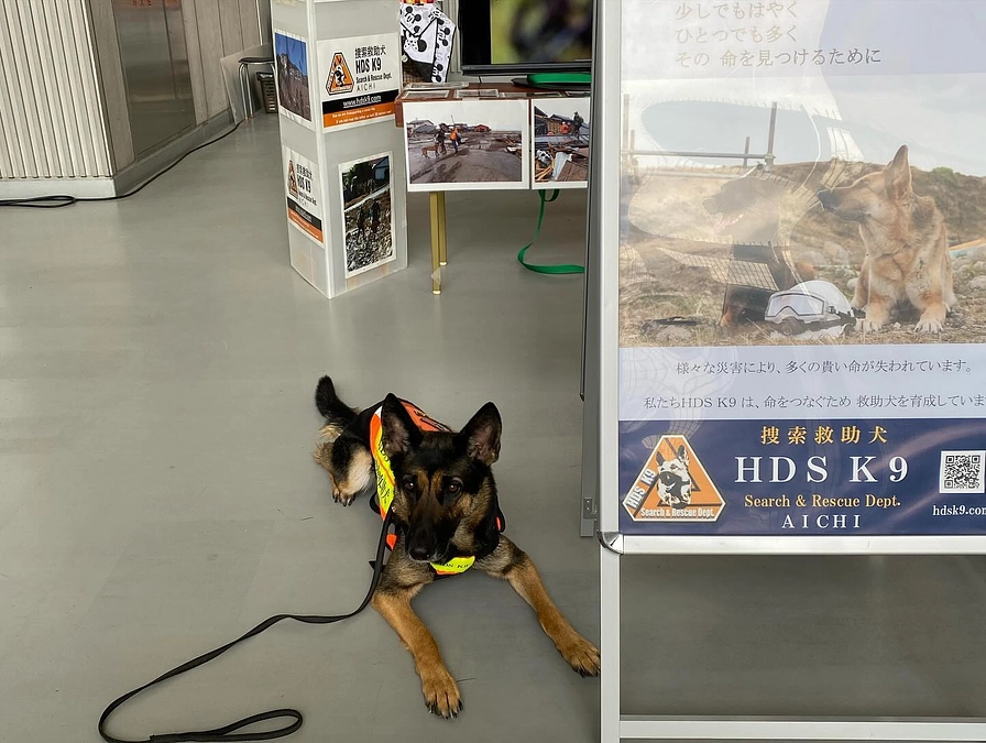 「令和6年豊田消防フェスタ」