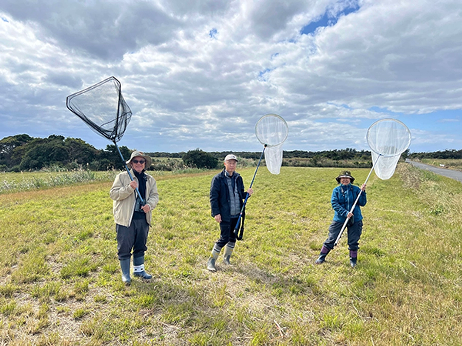 調査が始まりました！