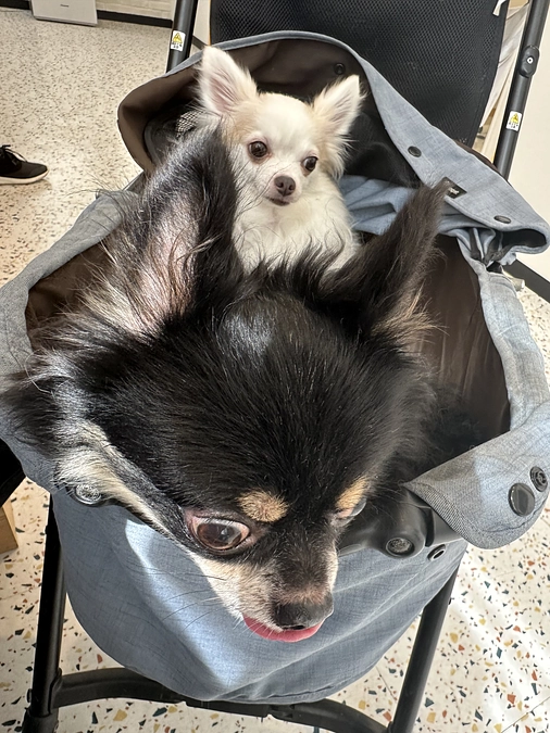 直接支援の方々からのご支援反映いたしました