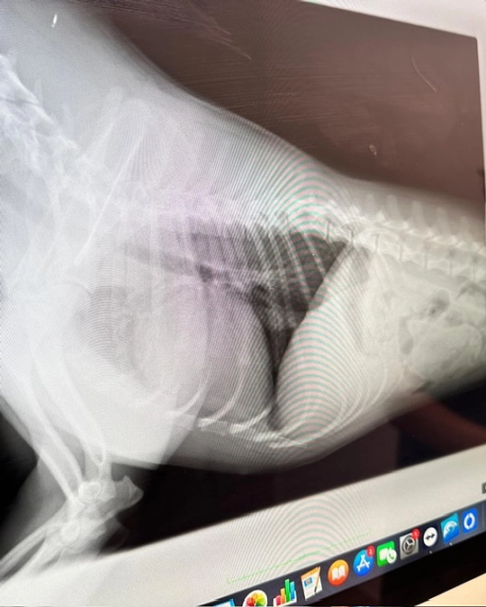 活動4日目を終えて