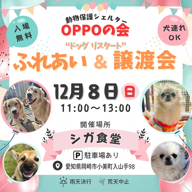 愛知ふれあい会＆譲渡会開催のお知らせ