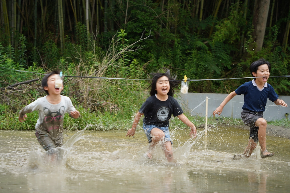 スコレー田んぼで運動会、夏のスコレー始まります。