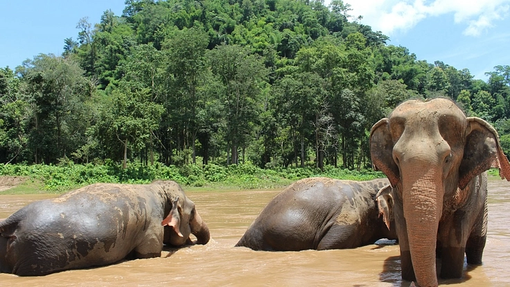【タイ・チェンマイ】EMオーガニック現地農家を応援