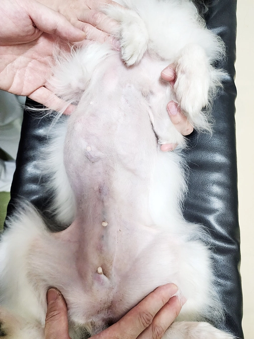 定期健診に行ってきました！！