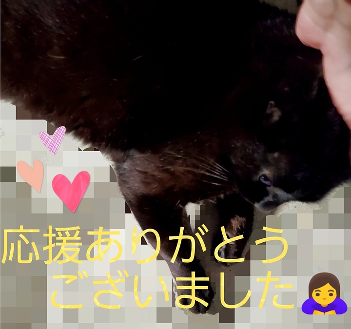 プロジェクト達成出来ました。応援してくださった皆様・ご支援して下さった皆様ありがとうございました。