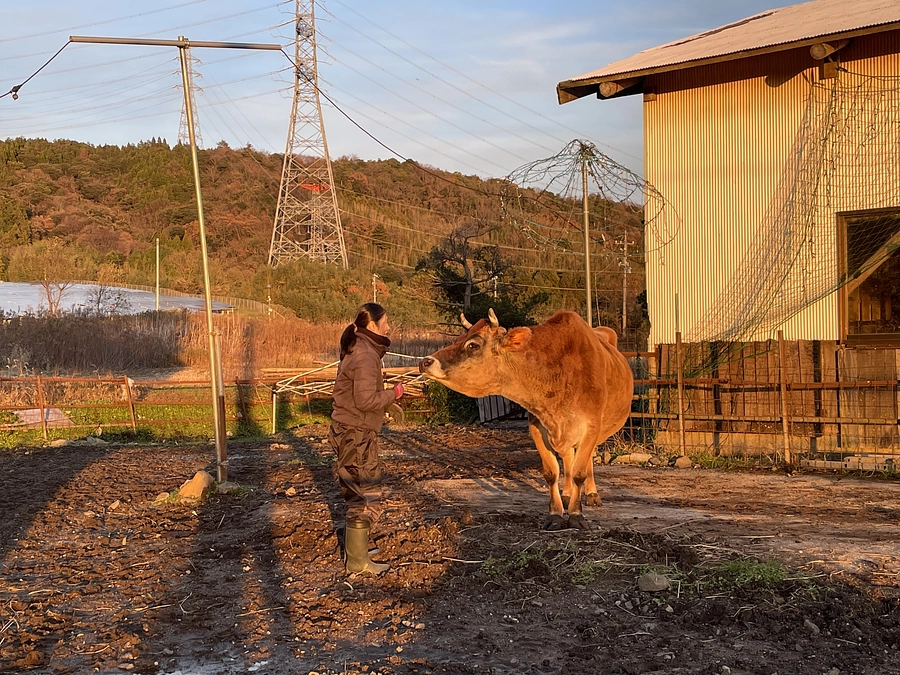 2024年もありがとうございました😊🐮