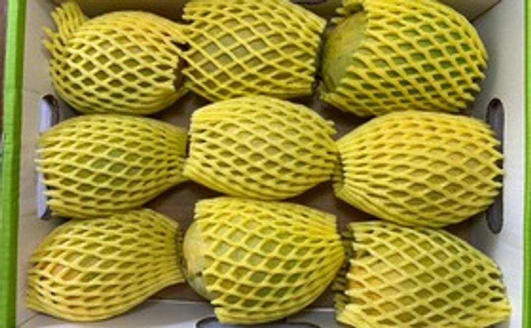 インド産マンゴー9個～12個入り（約2.9キロ）大箱