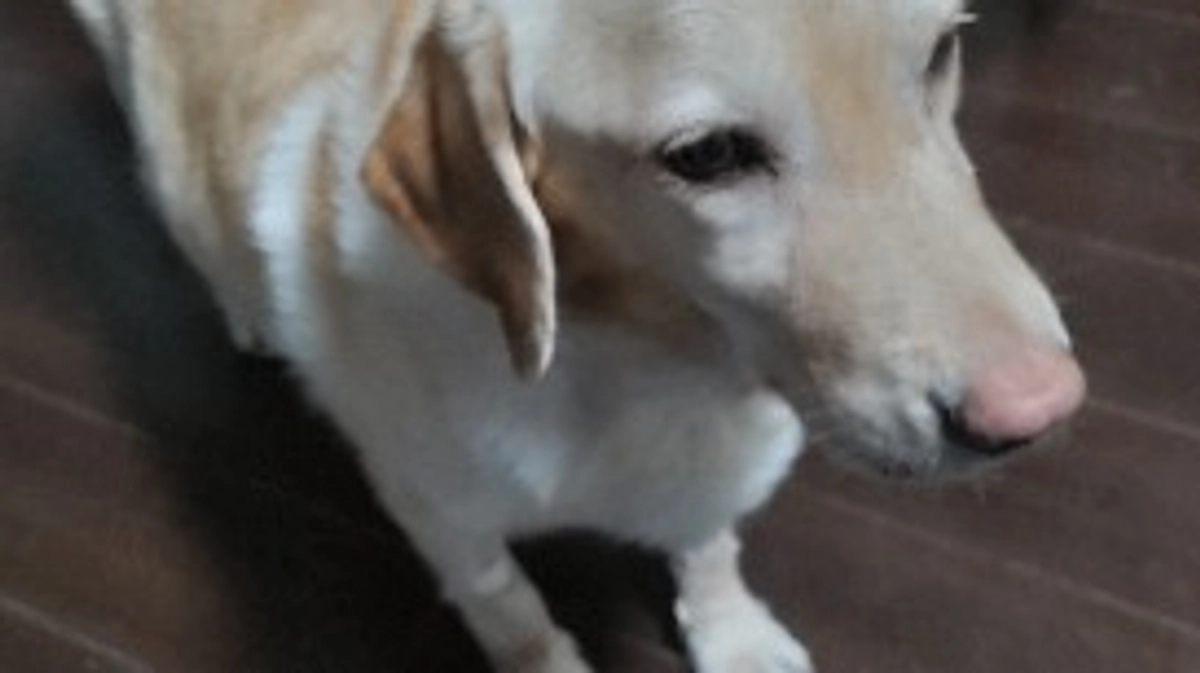 抗がん剤治療１ｗ目