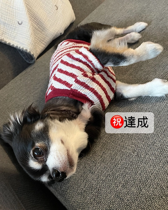 達成いたしました！