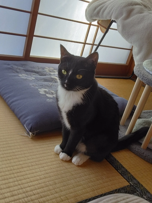 3/23はなちゃんの様子