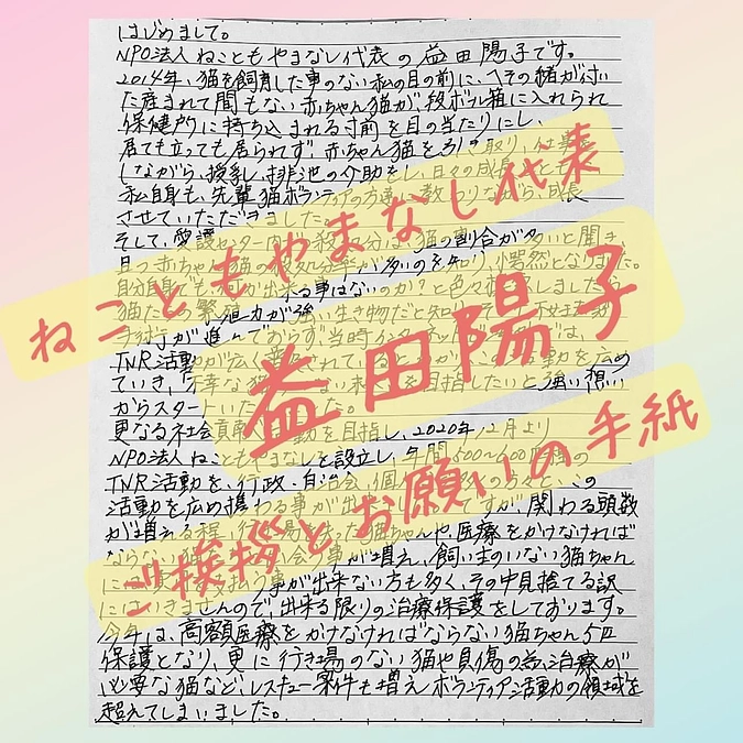 新たな挑戦が始まりました