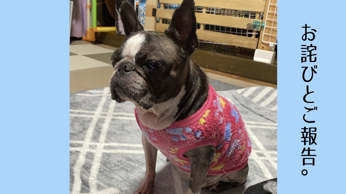 お詫びとご報告。