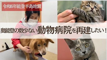 【能登半島地震】奥能登の数少ない動物病院を再建させたい！ のトップ画像