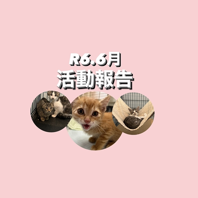 R ６.６月活動報告