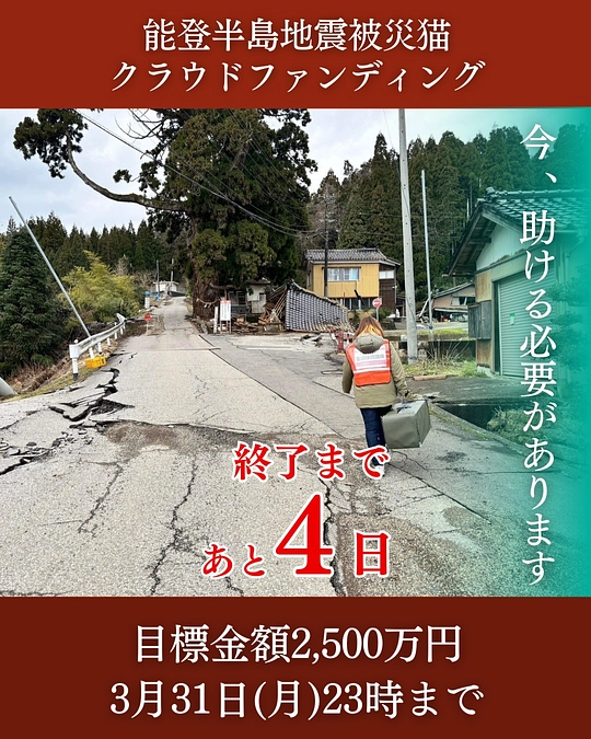 【クラウドファンディング 残り4日！】皆様の温かい応援、心より感謝申し上げます。