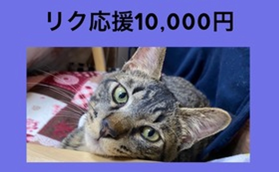 リク応援10,000円