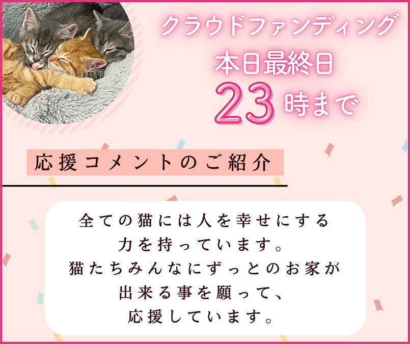 本日２３時終了！