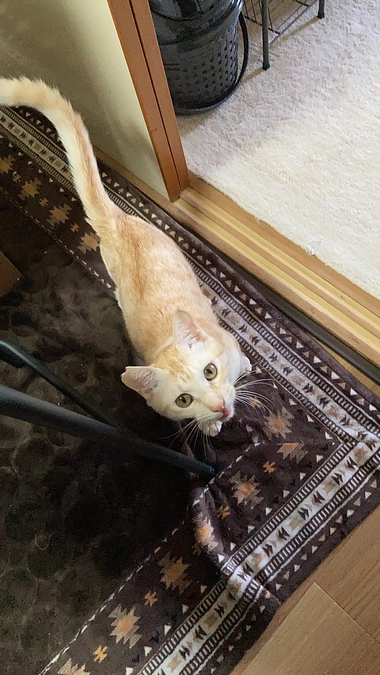 ご支援ありがとうございます。投薬の効果が出てきました！