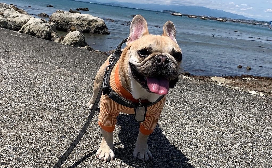 1⃣感謝のメールと画像