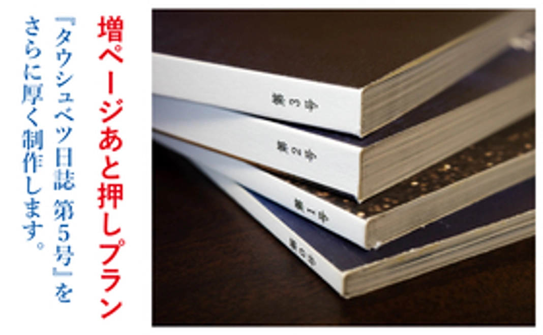 増ページあと押しプラン