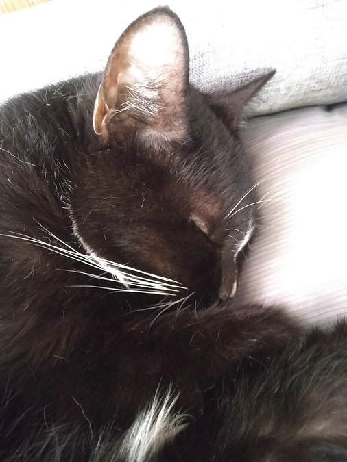 6/23はなちゃんの様子