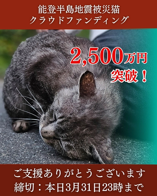 移動手術車クラウドファンディング達成のご報告とお礼