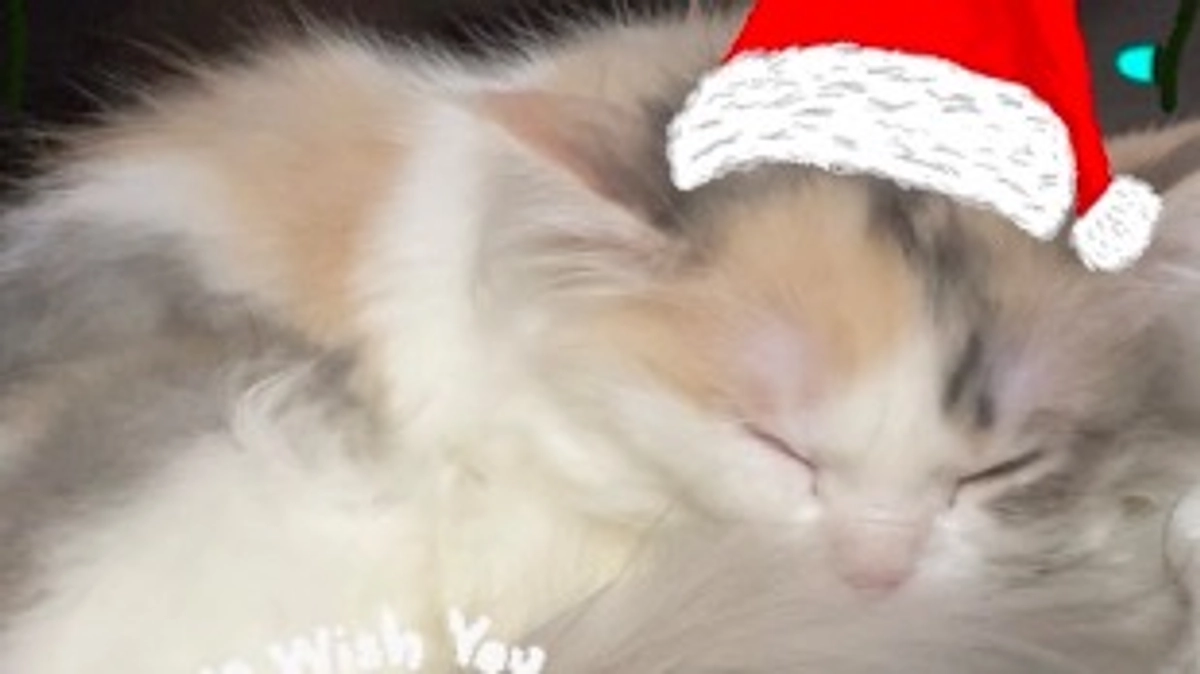 体重が２倍になりました⭐️