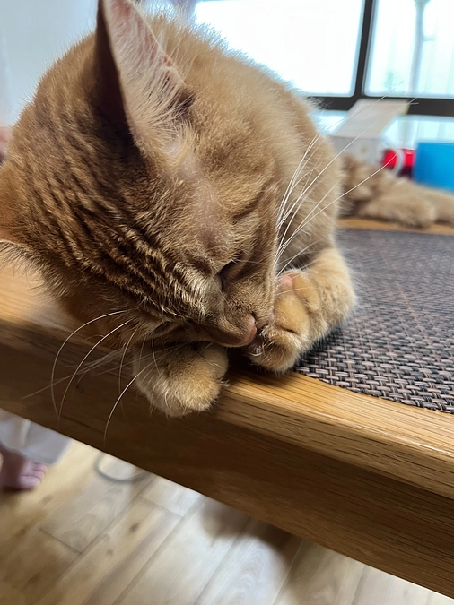 仲間との出会い③