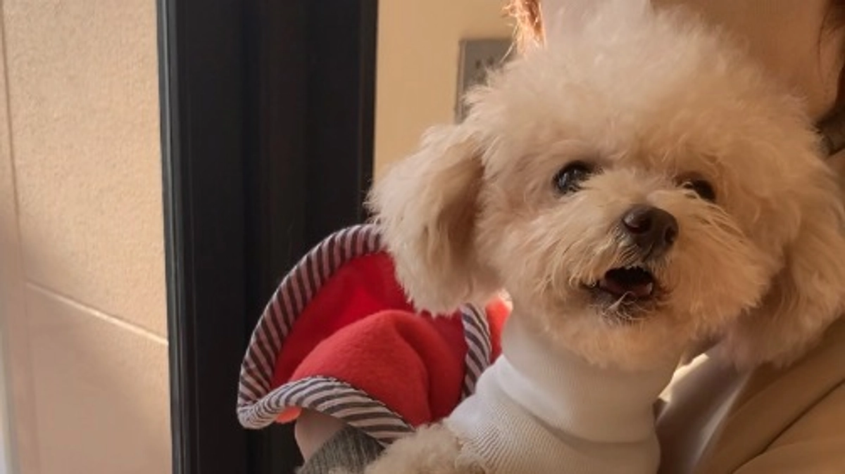 本日退院できました！