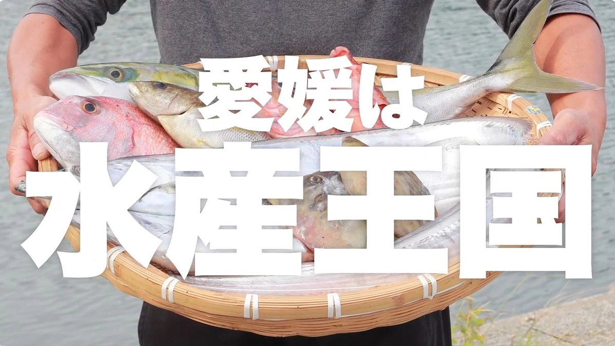 EのさかなのPR動画（30秒Ver.）ができました