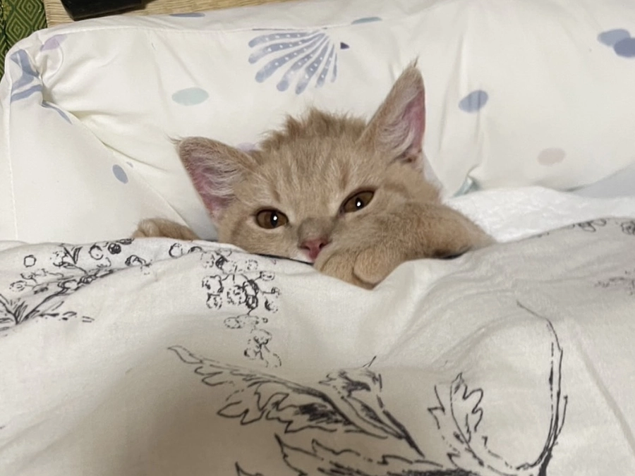 4名の方から貴重なご支援をいただくことができました