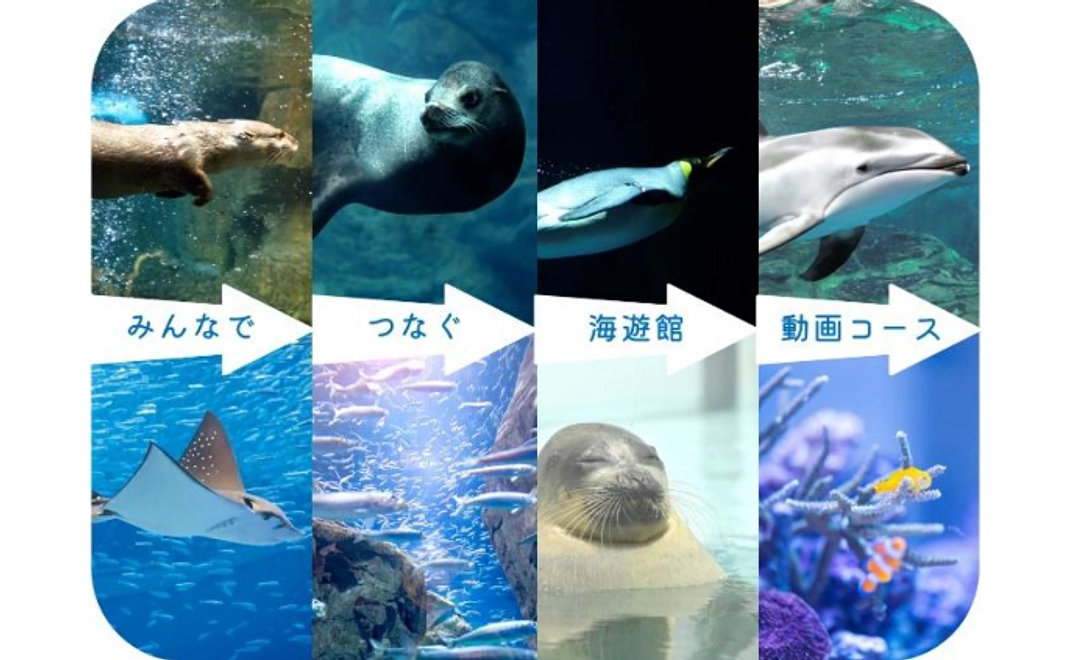 【配信】みんなでつなぐ 海遊館動画コース