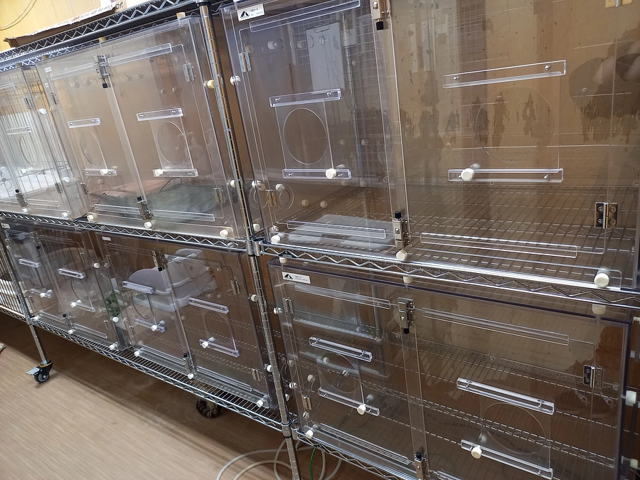 酸素室増設できました！